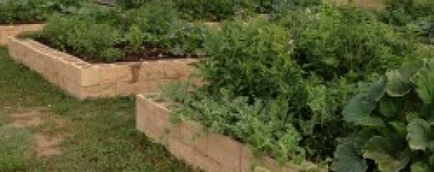 Benefits of Raised Garden Beds